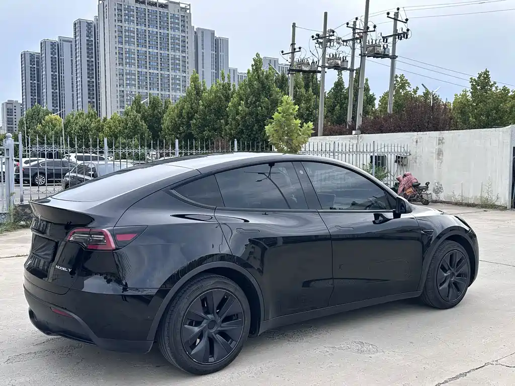 Tesla Model Y — миниатюра 5
