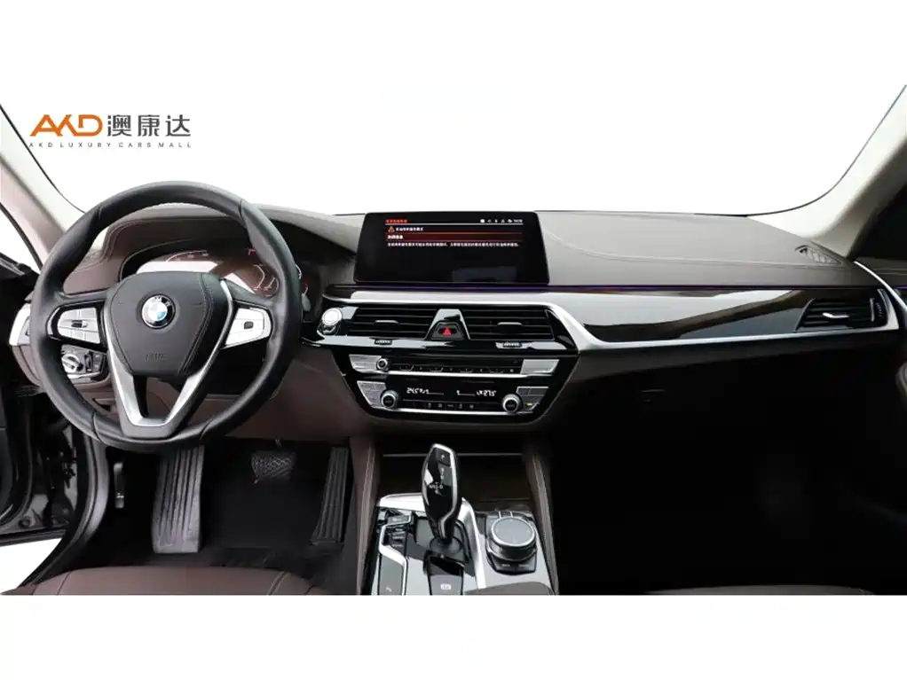 BMW 5 Series — миниатюра 5