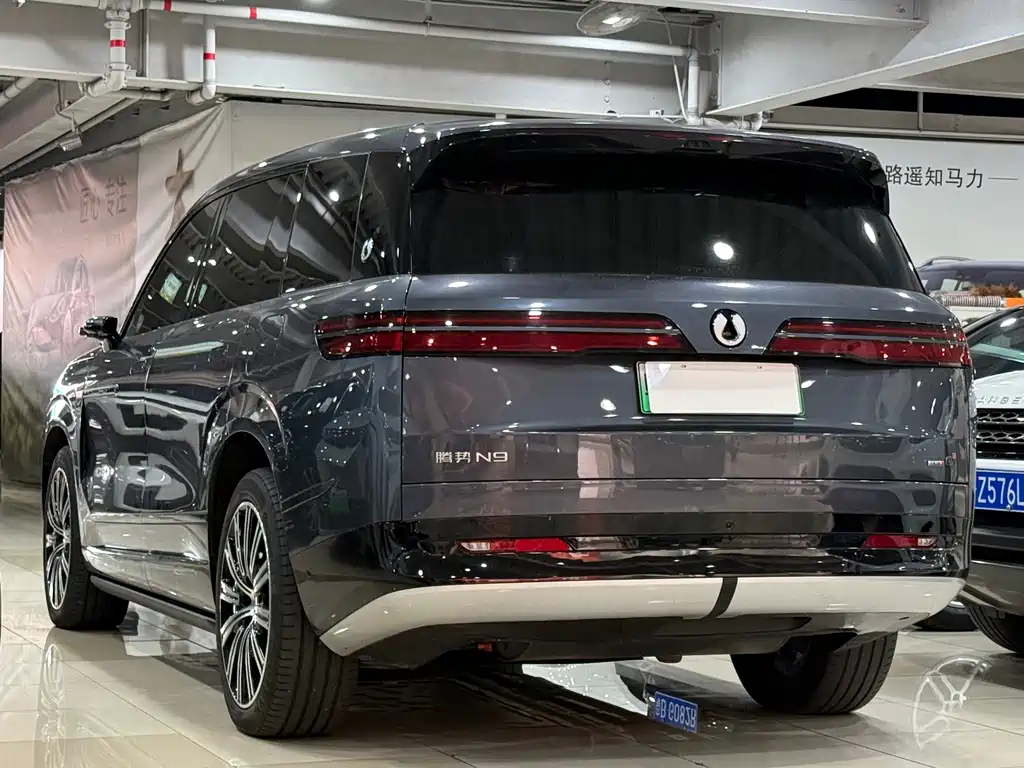 Denza Denza N9 — миниатюра 19
