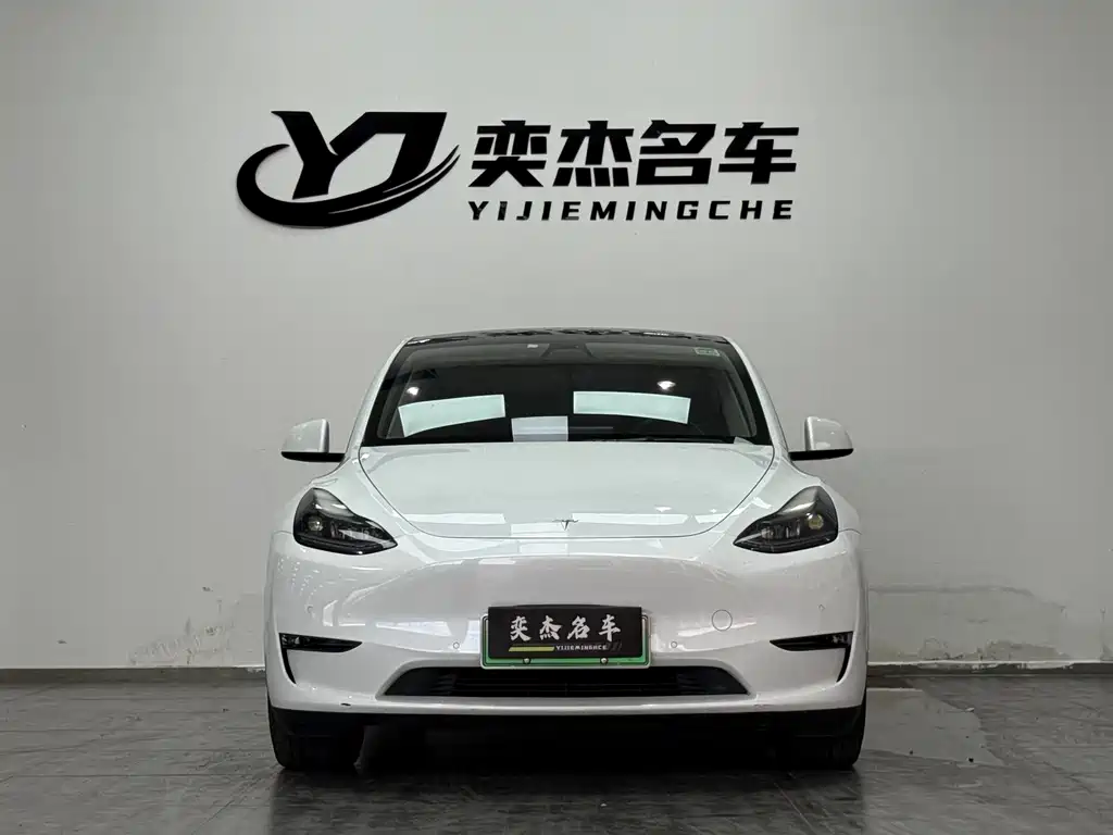 Tesla Model Y — миниатюра 2