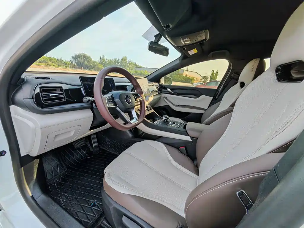 BYD Qin PLUS — миниатюра 11