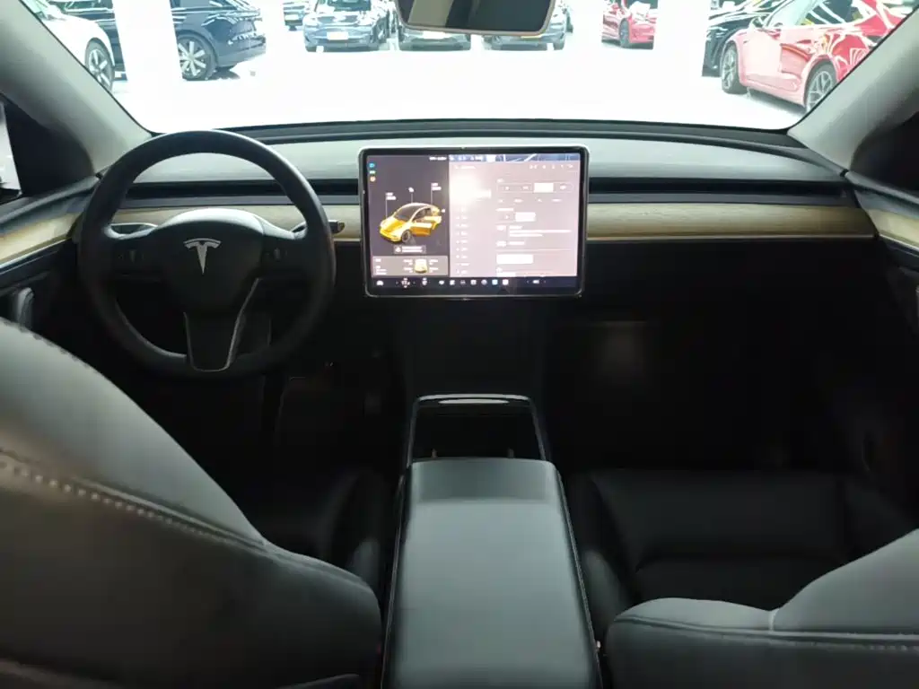 Tesla Model Y — миниатюра 10