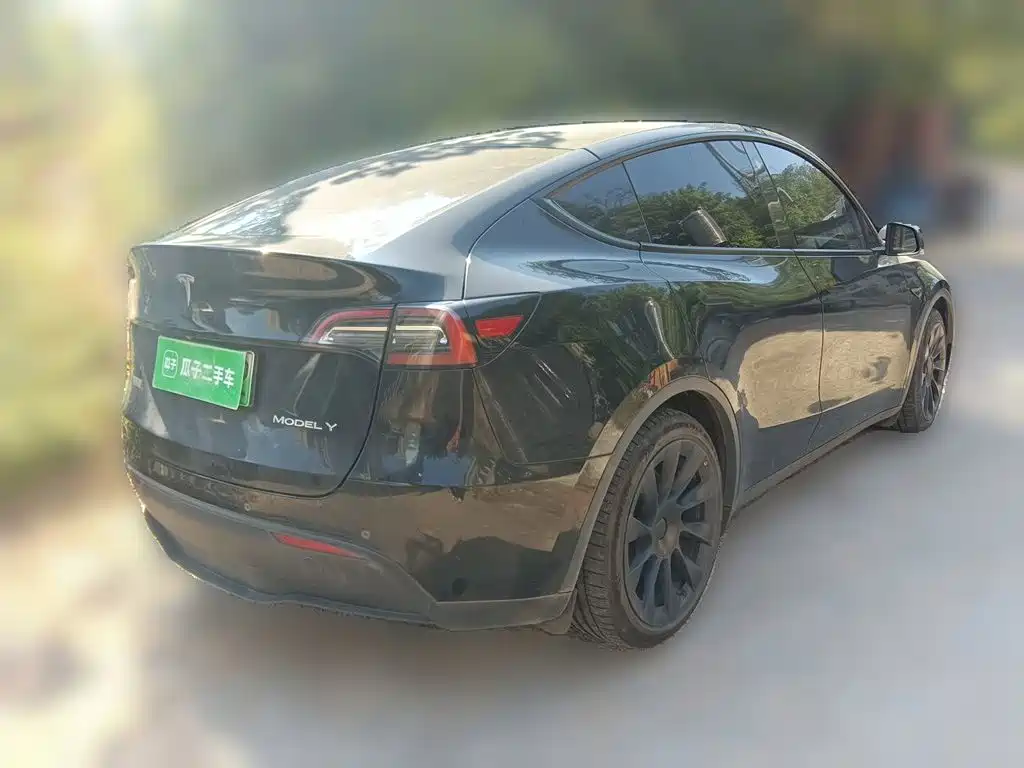 Tesla Model Y — миниатюра 4