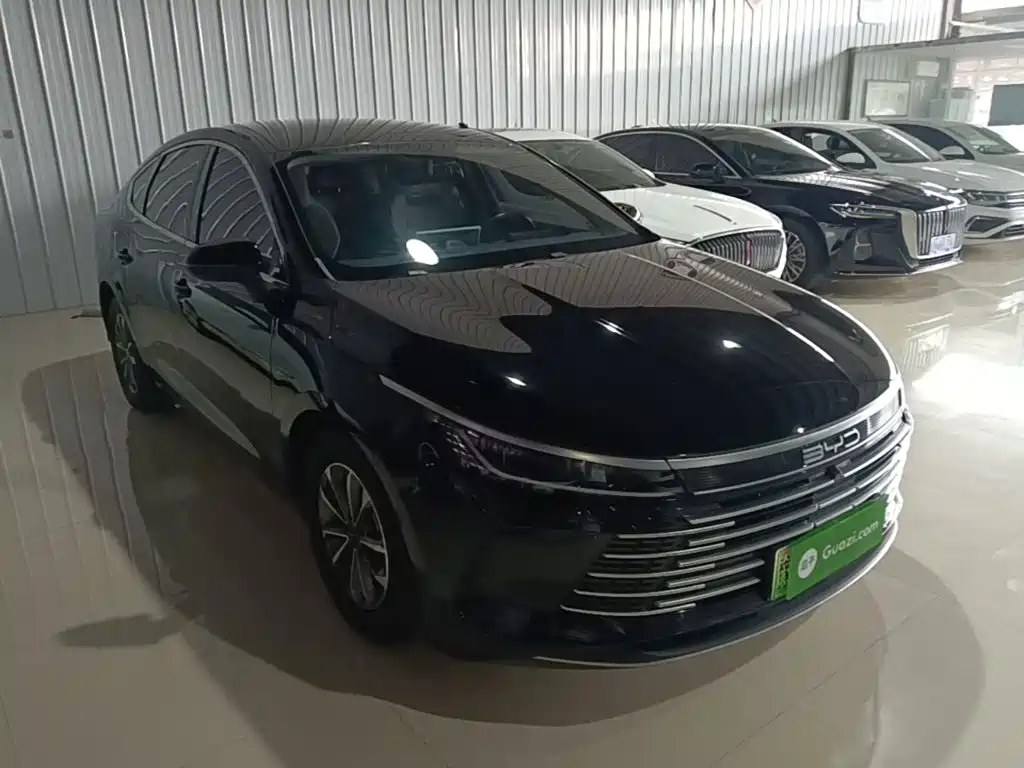 BYD Destroyer 05 — миниатюра 4