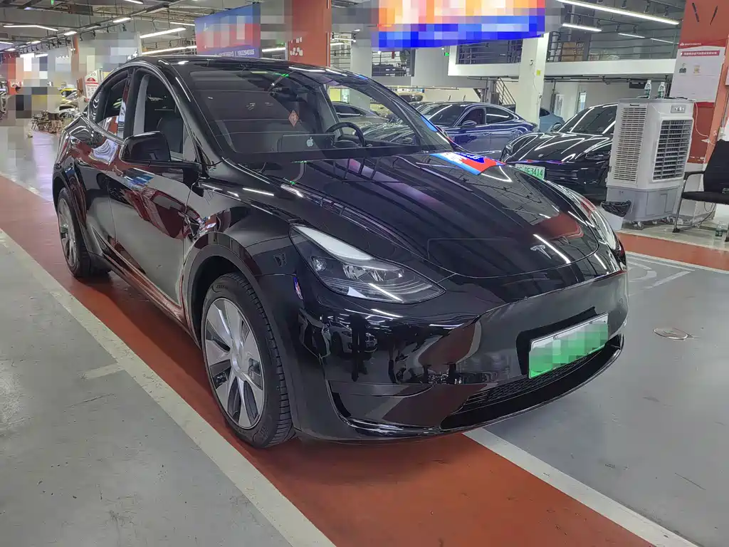 Tesla Model Y — миниатюра 3