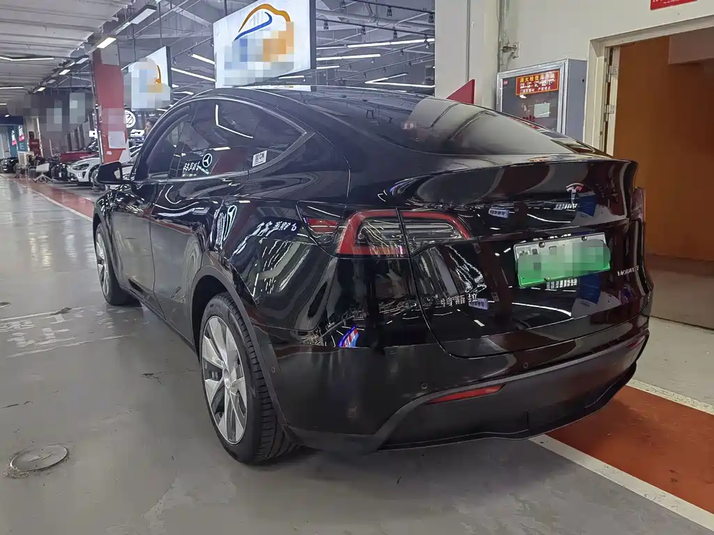 Tesla Model Y — миниатюра 9