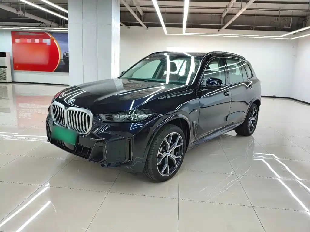 BMW X5 — миниатюра 2