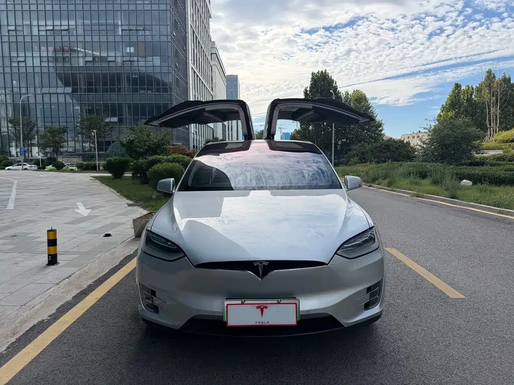 Tesla Model X — миниатюра 2