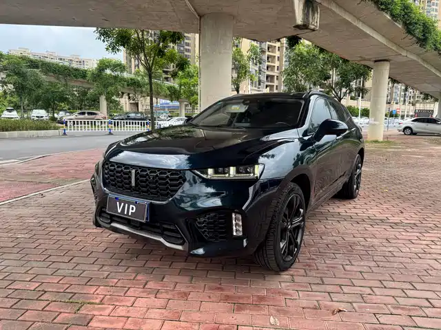 2019 Wey VV7