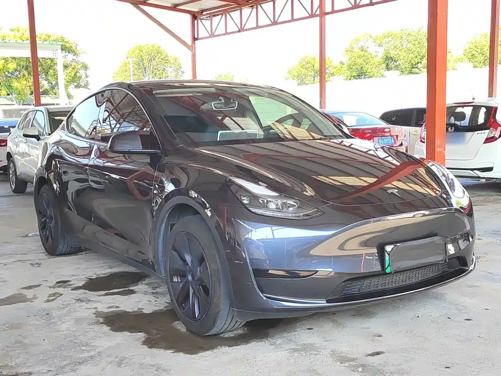 Tesla Model Y — миниатюра 4