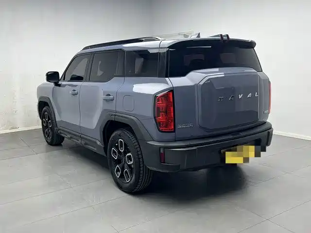Haval Cool Dog — миниатюра 4