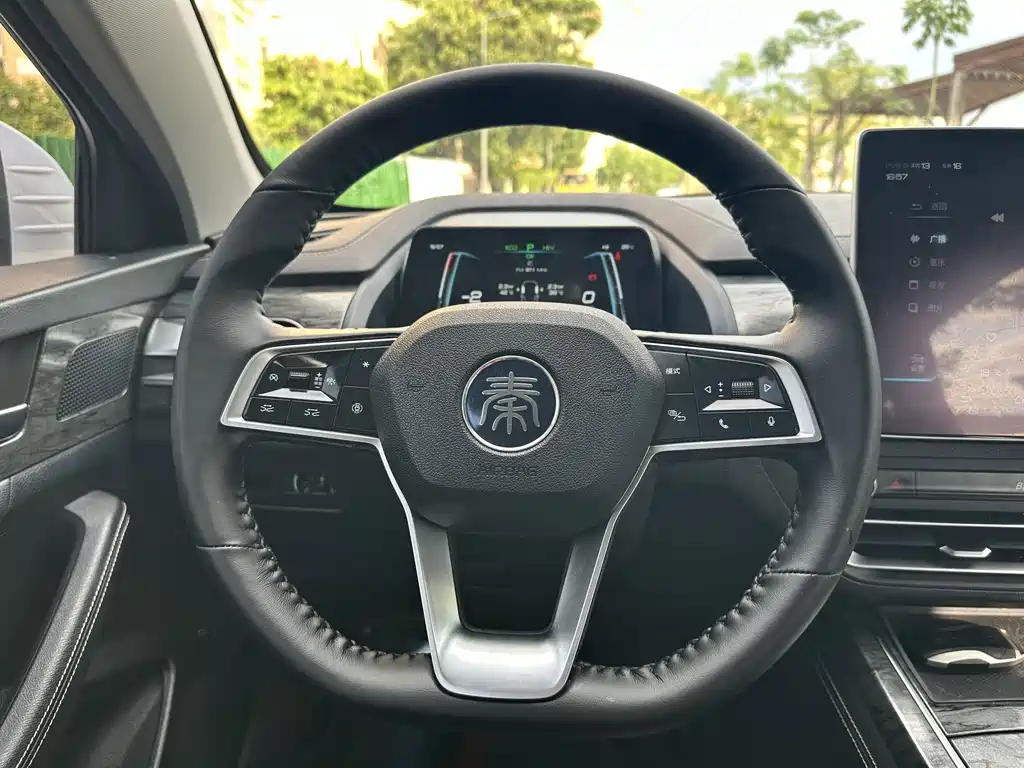 BYD Qin Pro NEV — миниатюра 6