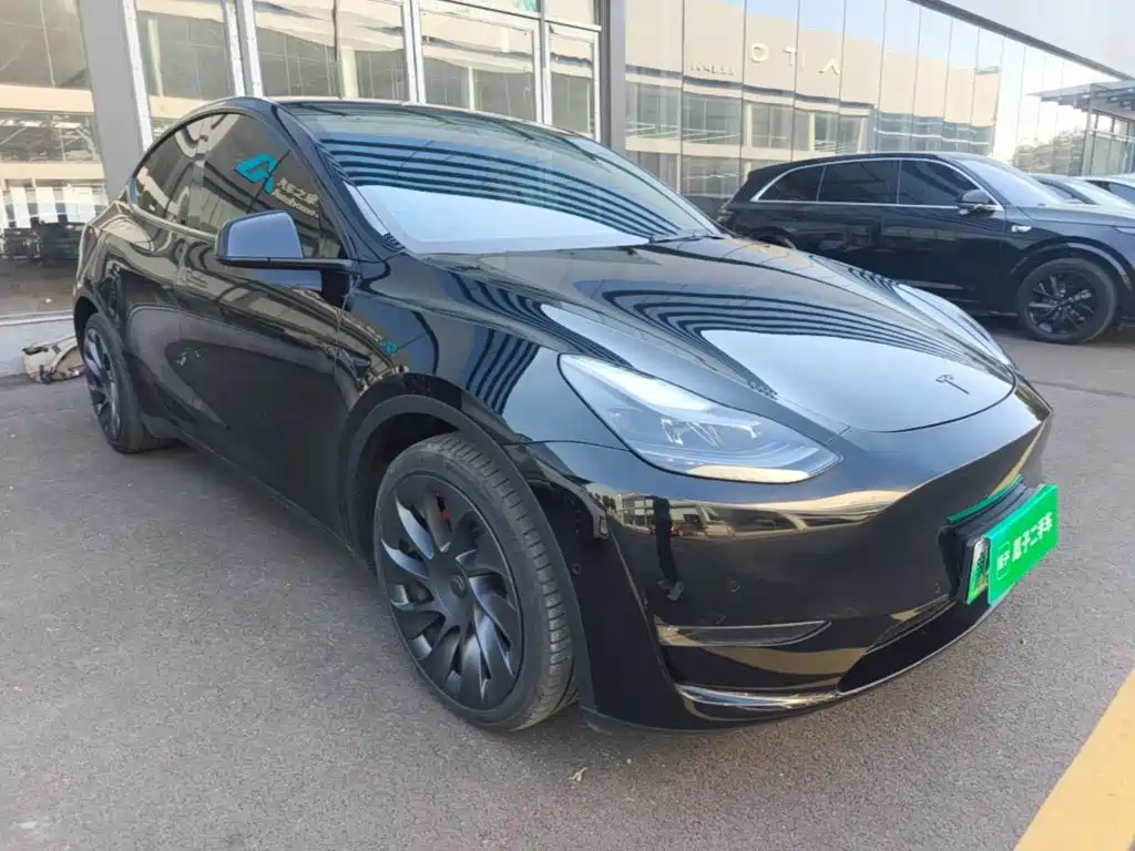 Tesla Model Y — миниатюра 4