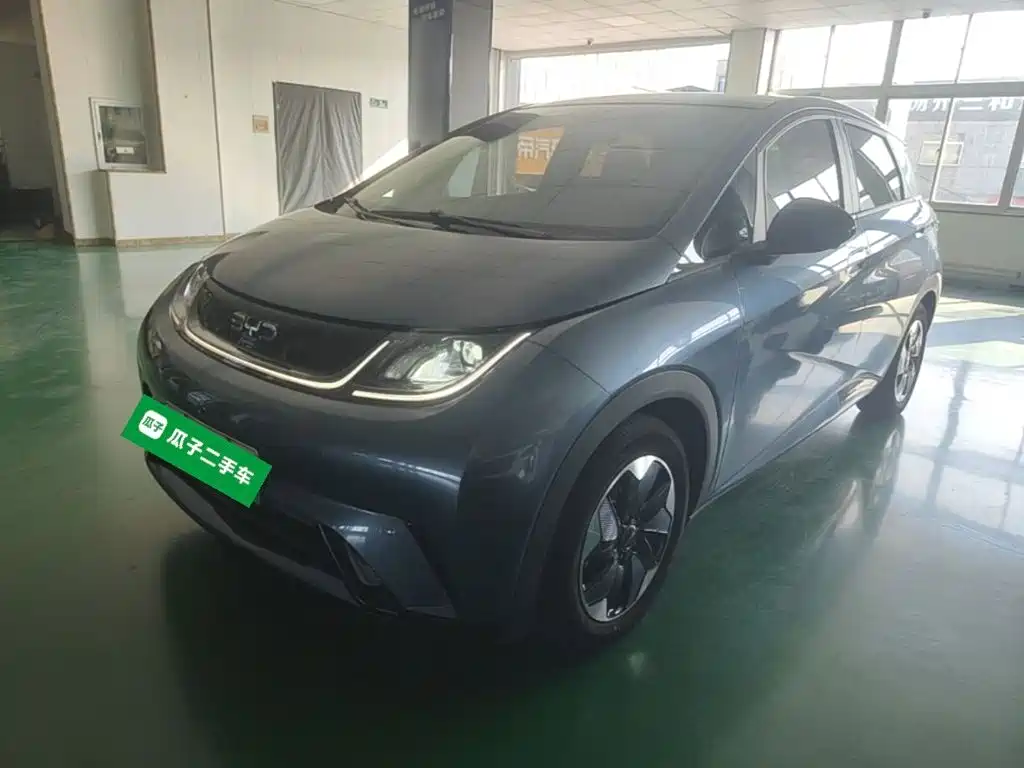 BYD Dolphin — миниатюра 2