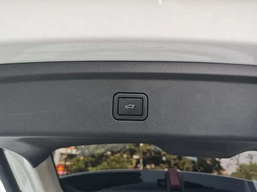 WEI PAI WEI BRAND VV6