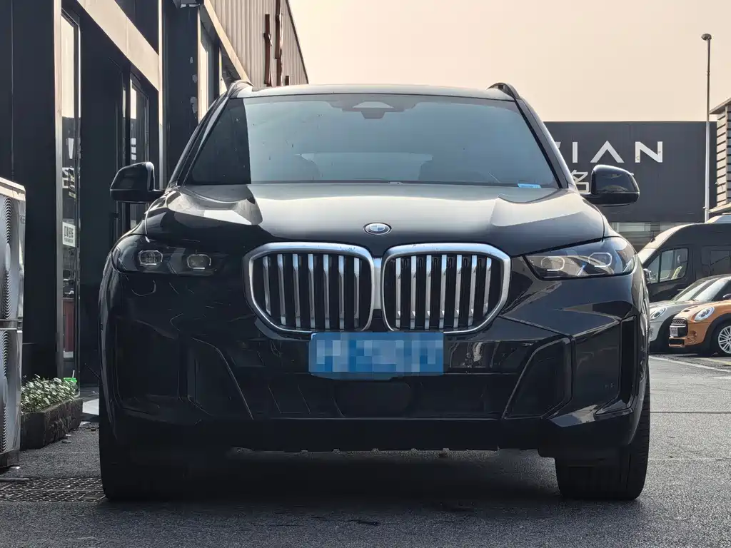 BMW X5 — миниатюра 2