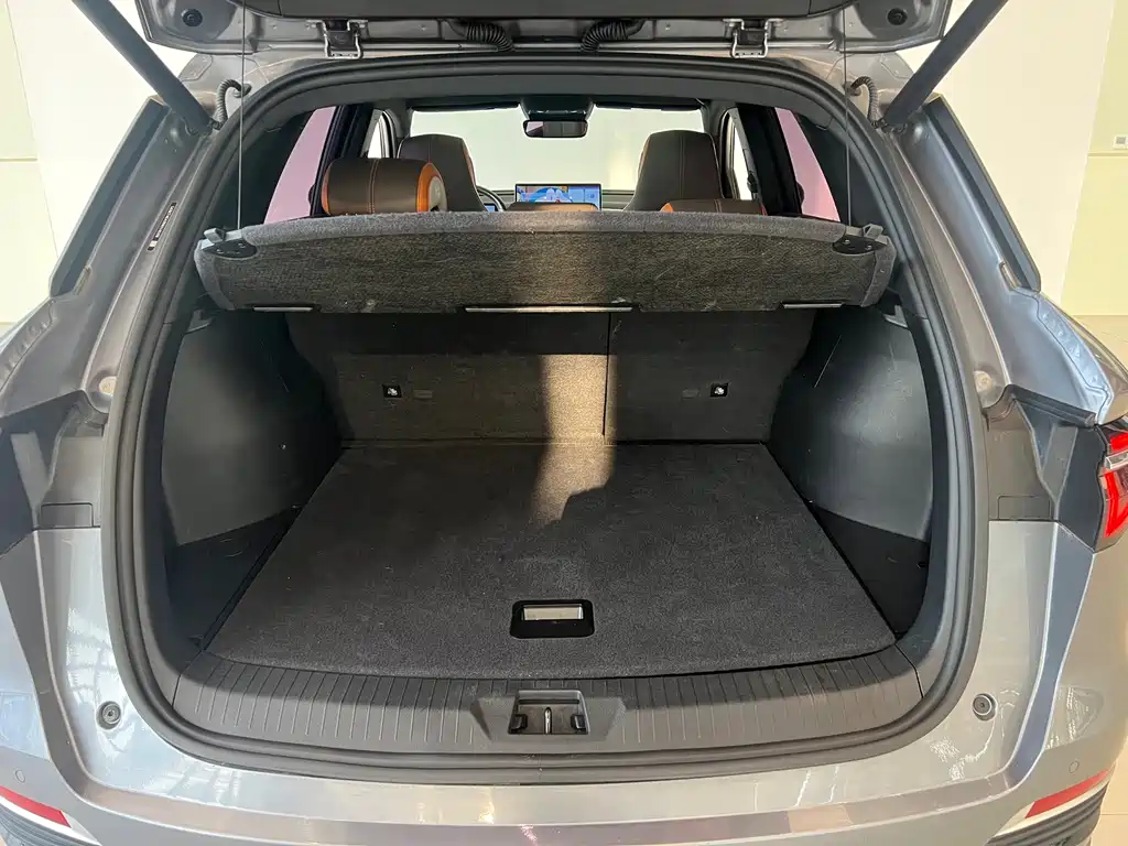 BYD Pro New Energy — миниатюра 13