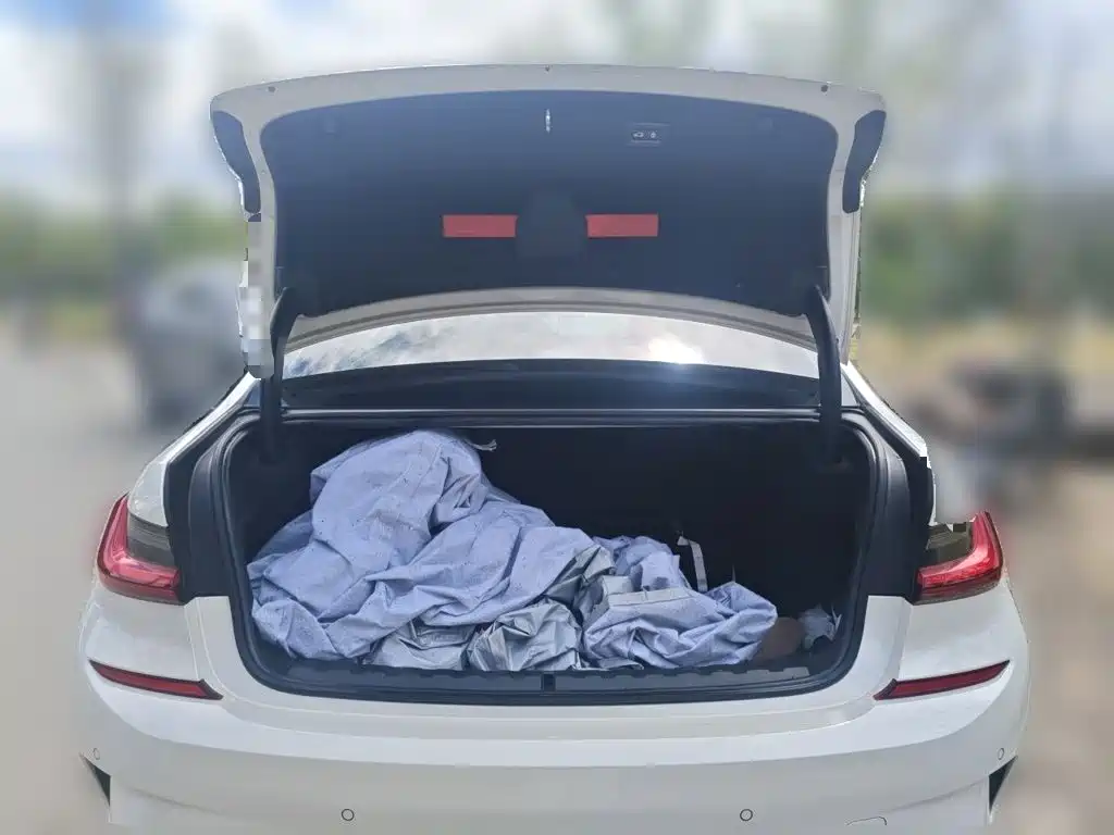 BMW 3 Series — миниатюра 20