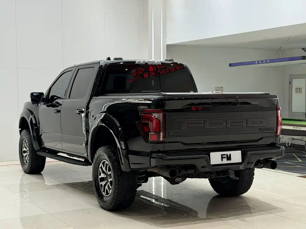 Ford F-150 Raptor — миниатюра 20