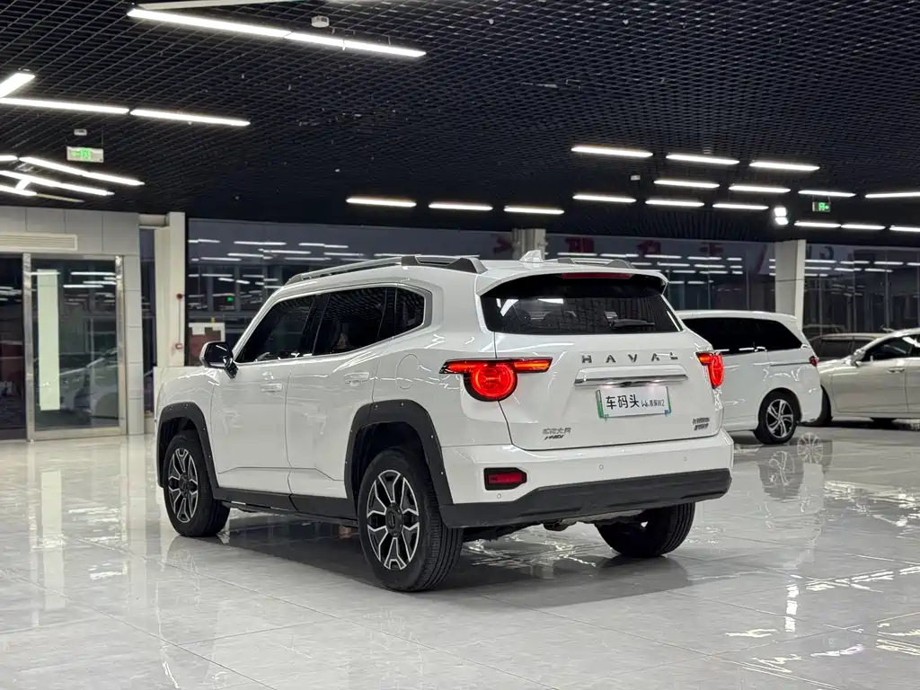 Haval Плюс новая энергия. — миниатюра 7