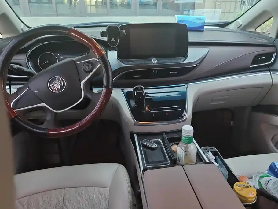 Buick GL8 — миниатюра 12