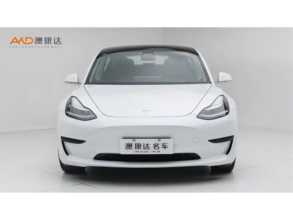 Tesla Model 3 — миниатюра 2