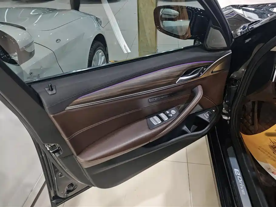 BMW 5 SERIES NEW ENERGY