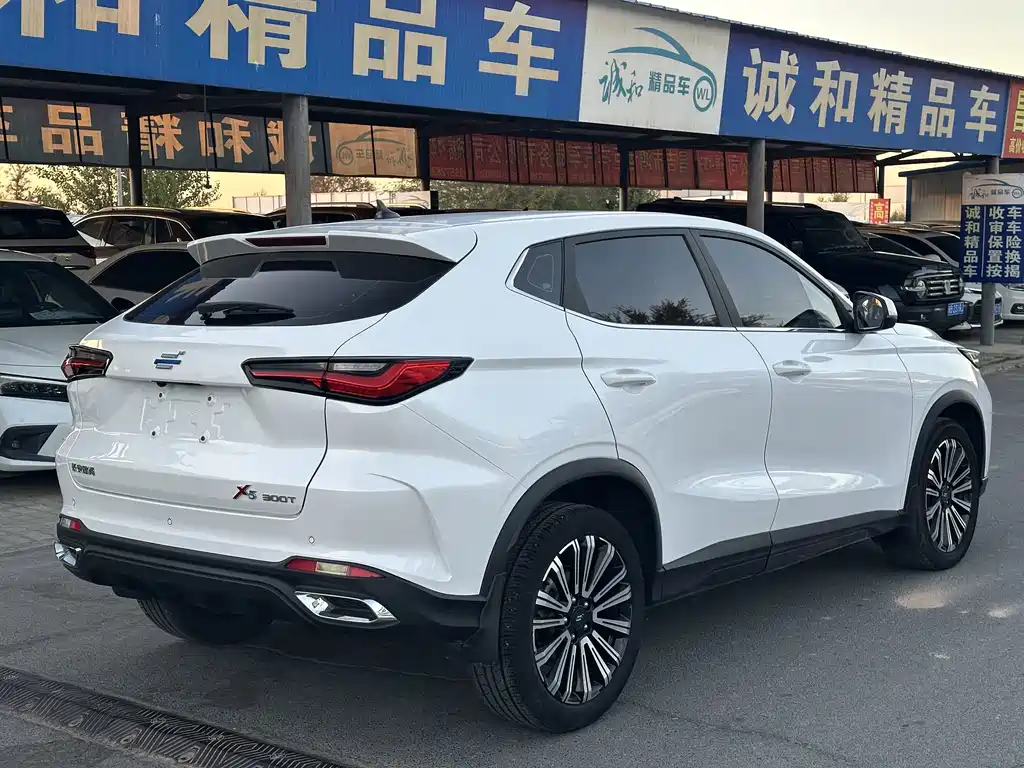 Oshan Oushang X5 — миниатюра 7