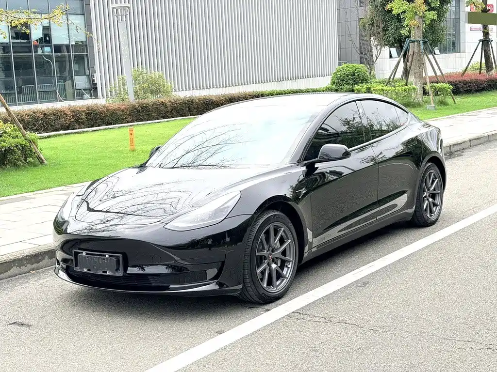 Tesla Model 3 — миниатюра 3