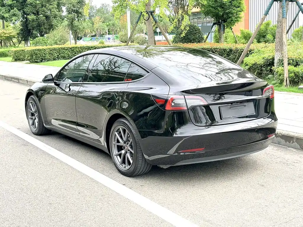Tesla Model 3 — миниатюра 9