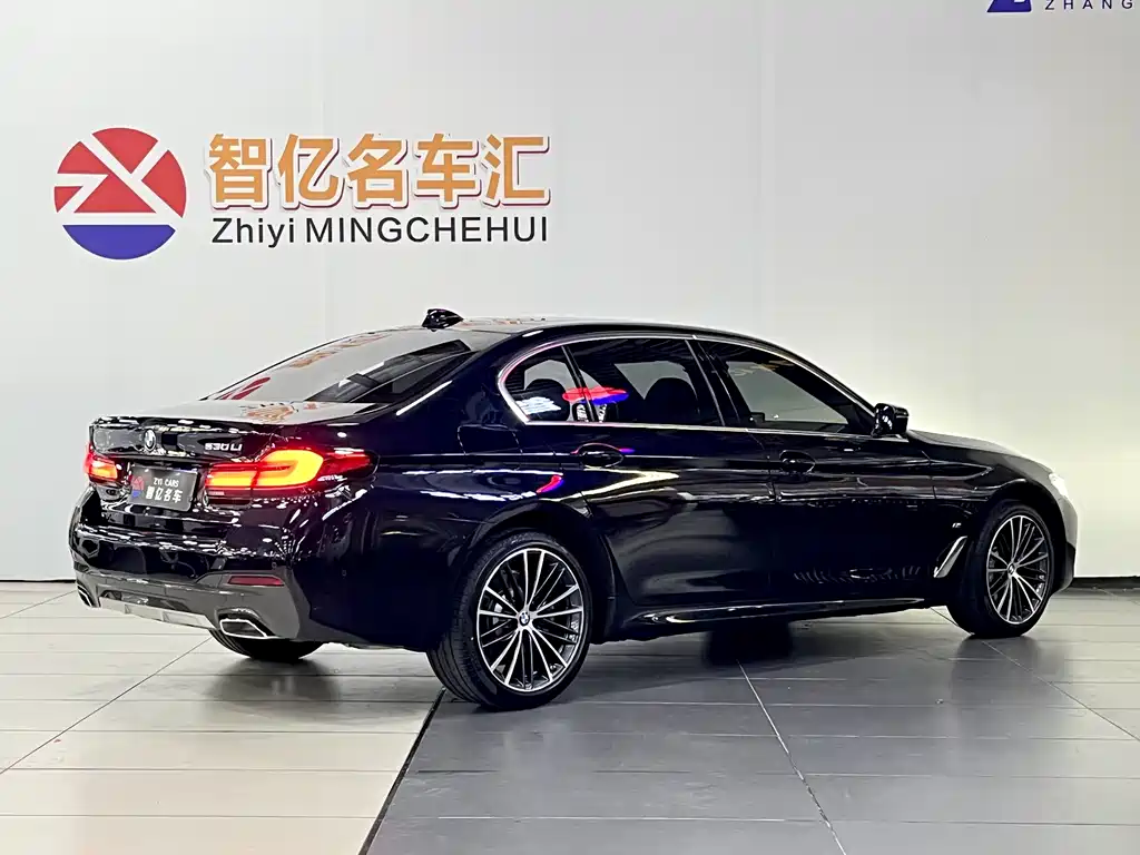 BMW 5 Series 5 2023 530Li xDrive M Sport