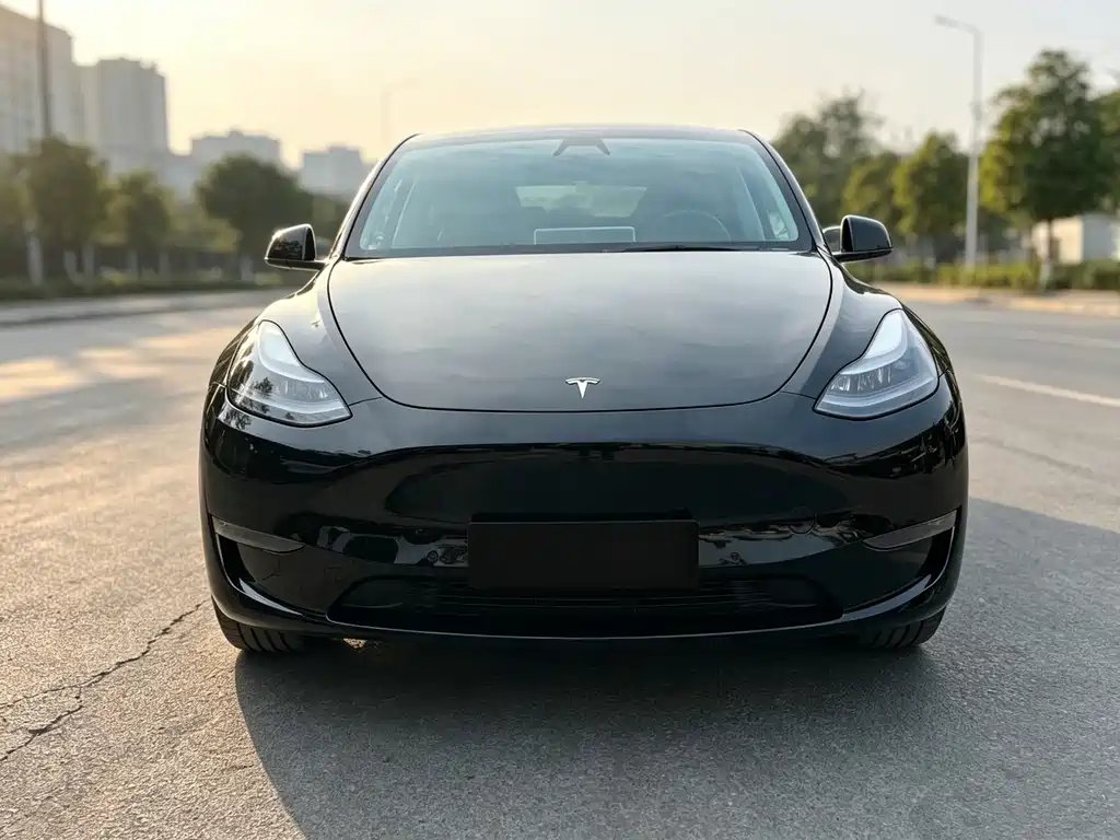 Tesla Model Y — миниатюра 2