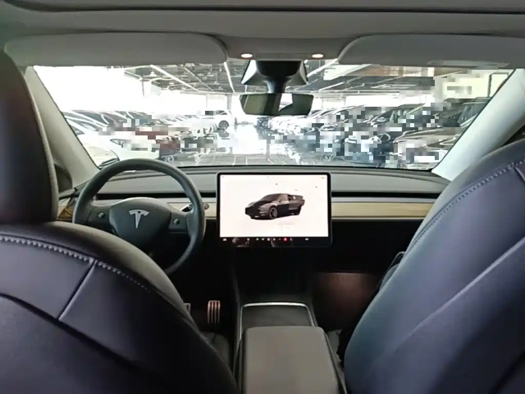 Tesla Model Y — миниатюра 10