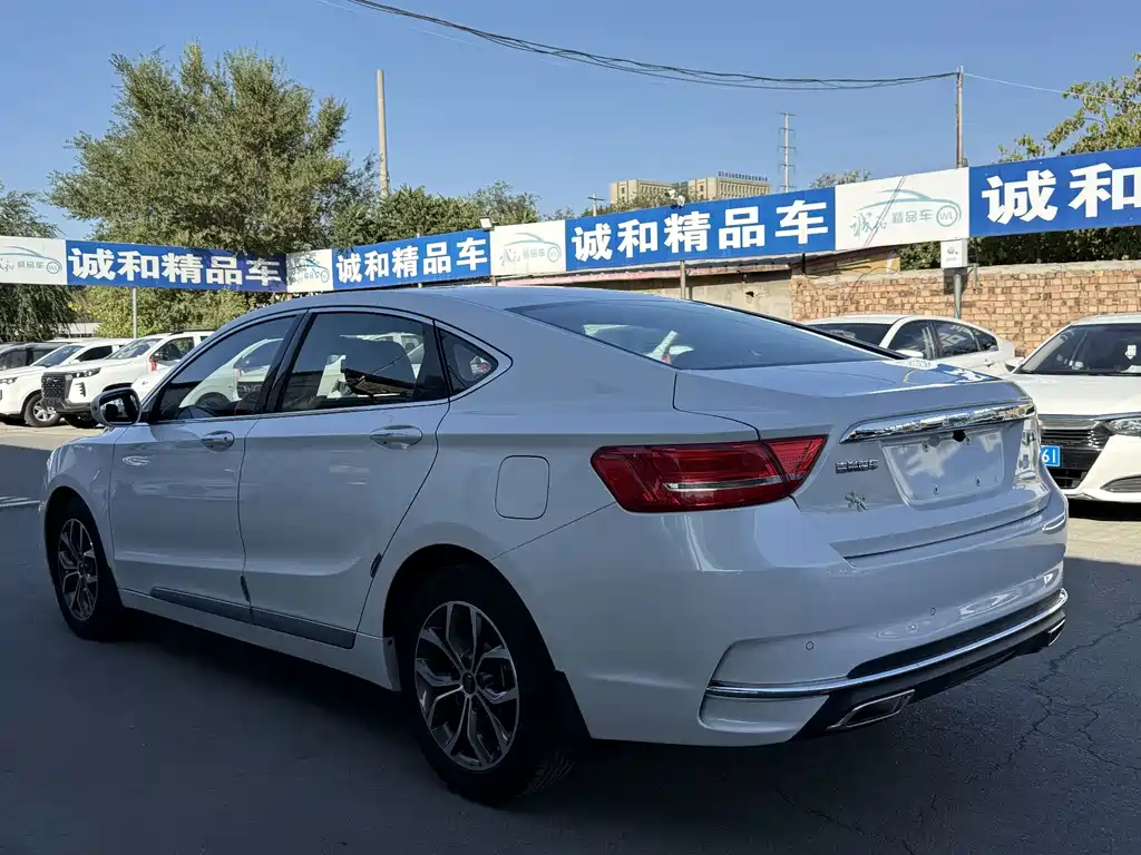 Geely Borui 2.4L Comfort Type, фото 9