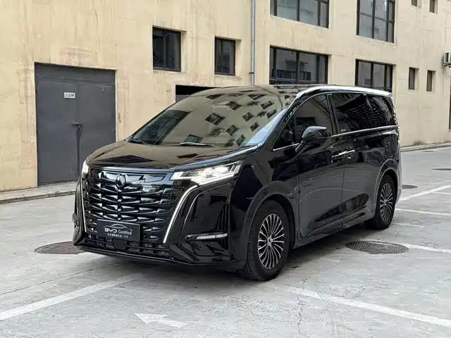 2024 Denza D9