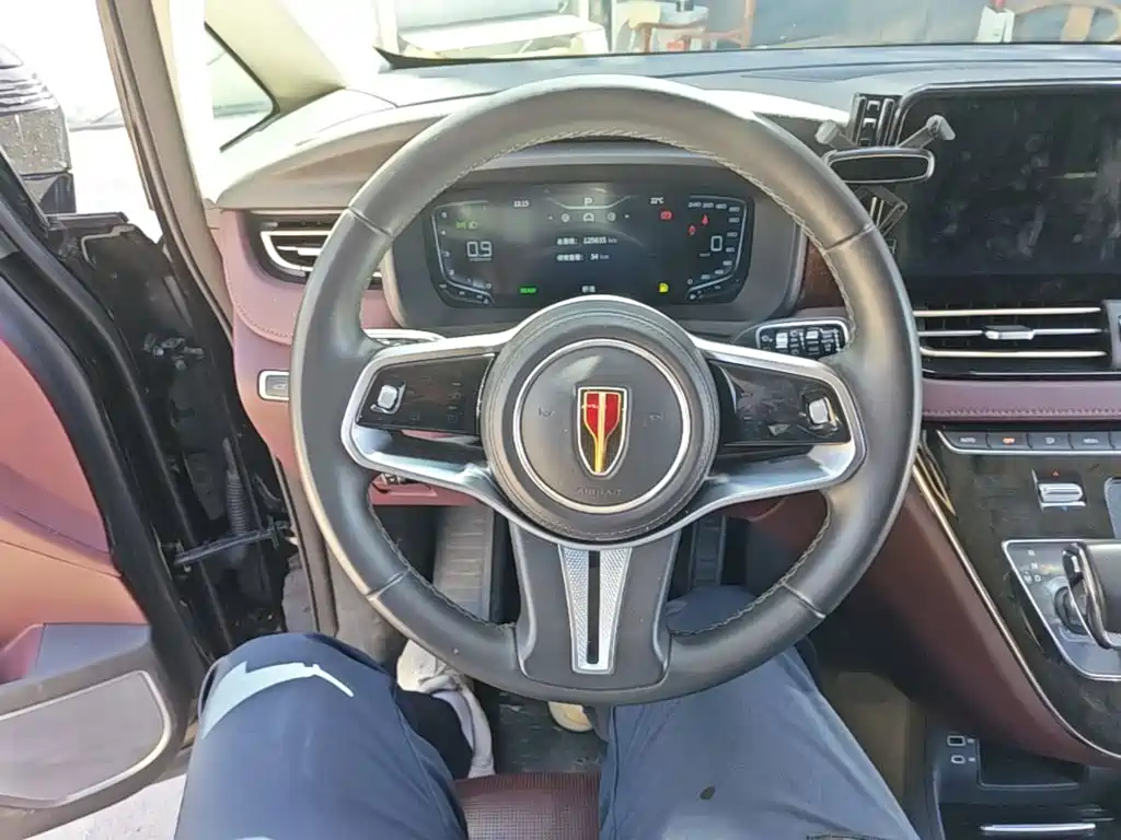 Hongqi Hongqi HQ9 — миниатюра 11