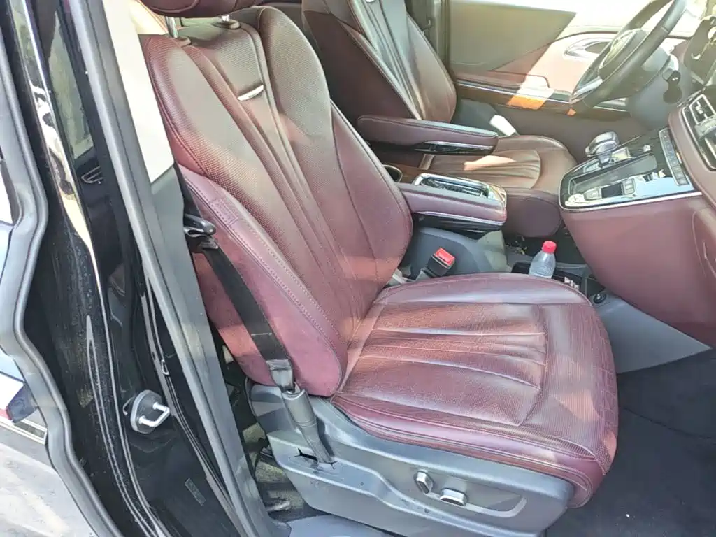 Hongqi Hongqi HQ9 — миниатюра 25
