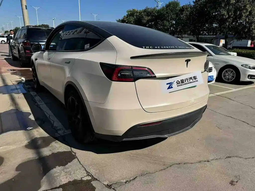 Tesla Model Y — миниатюра 6