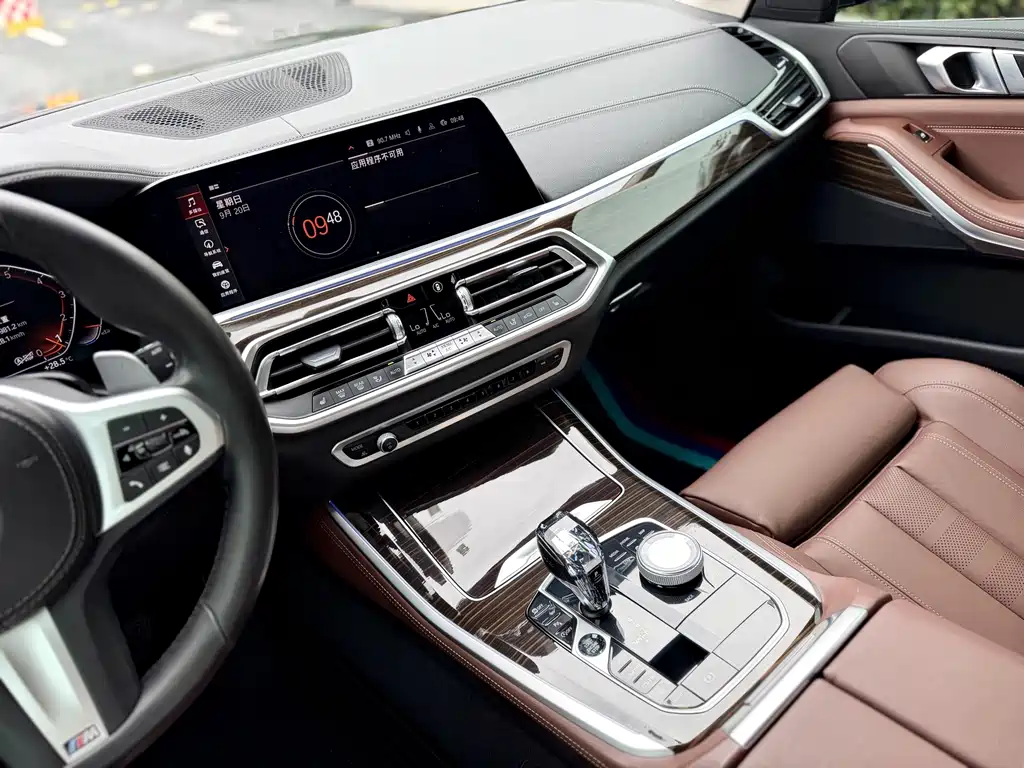 BMW X5 (Import) — миниатюра 9