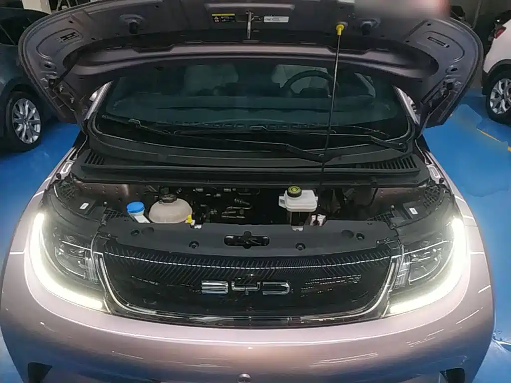 BYD Dolphin — миниатюра 20