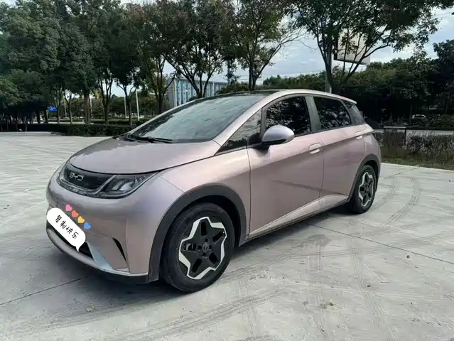 BYD Dolphin