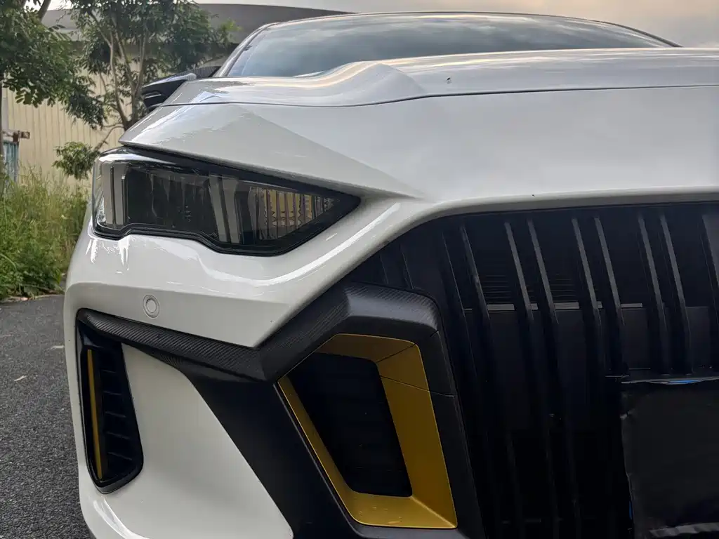 GAC Motor Shadow Leopard — миниатюра 4