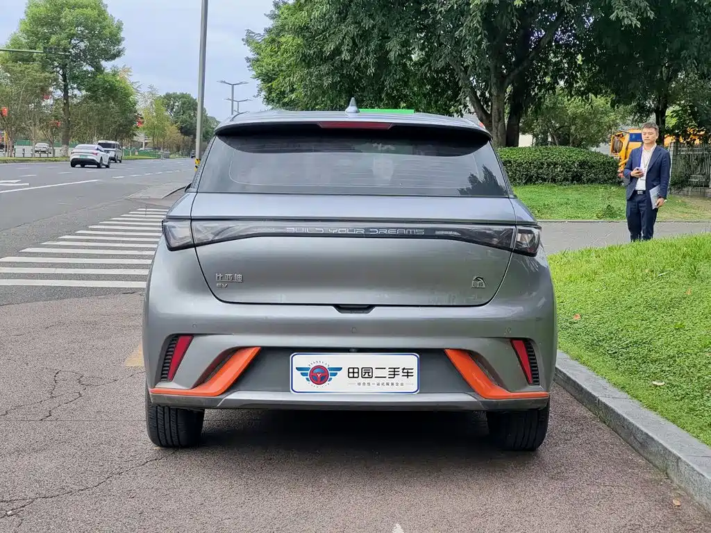 BYD Dolphin — миниатюра 5
