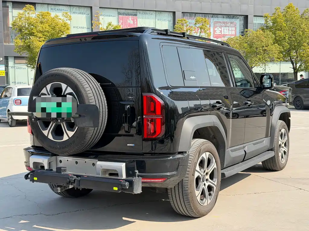 FANG CHENG BAO LEOPARD 5