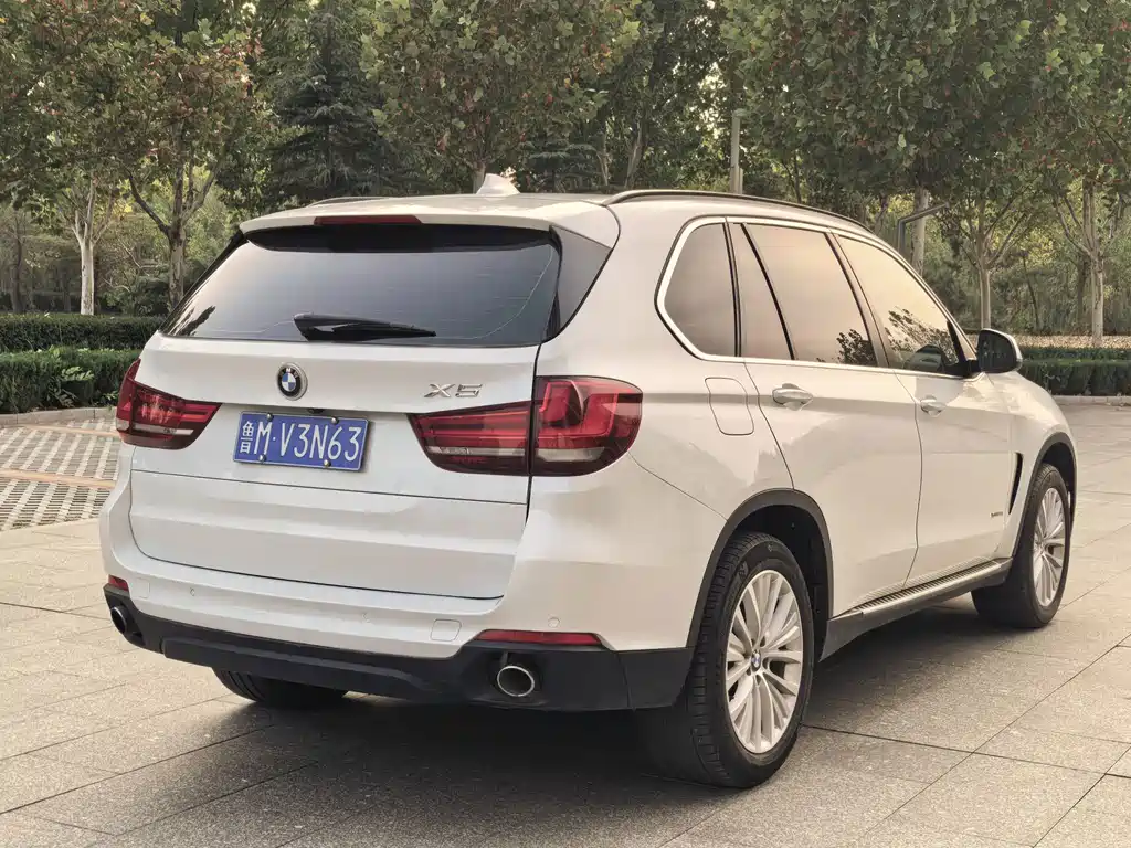 BMW X5 (Import) — миниатюра 4