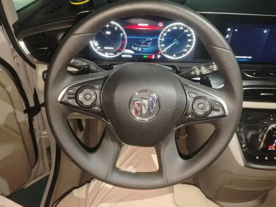 Buick GL8 — миниатюра 15