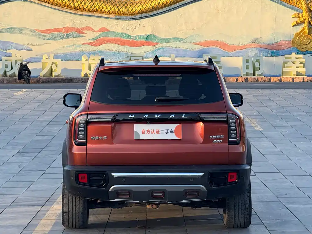 HAVAL BIG DOG