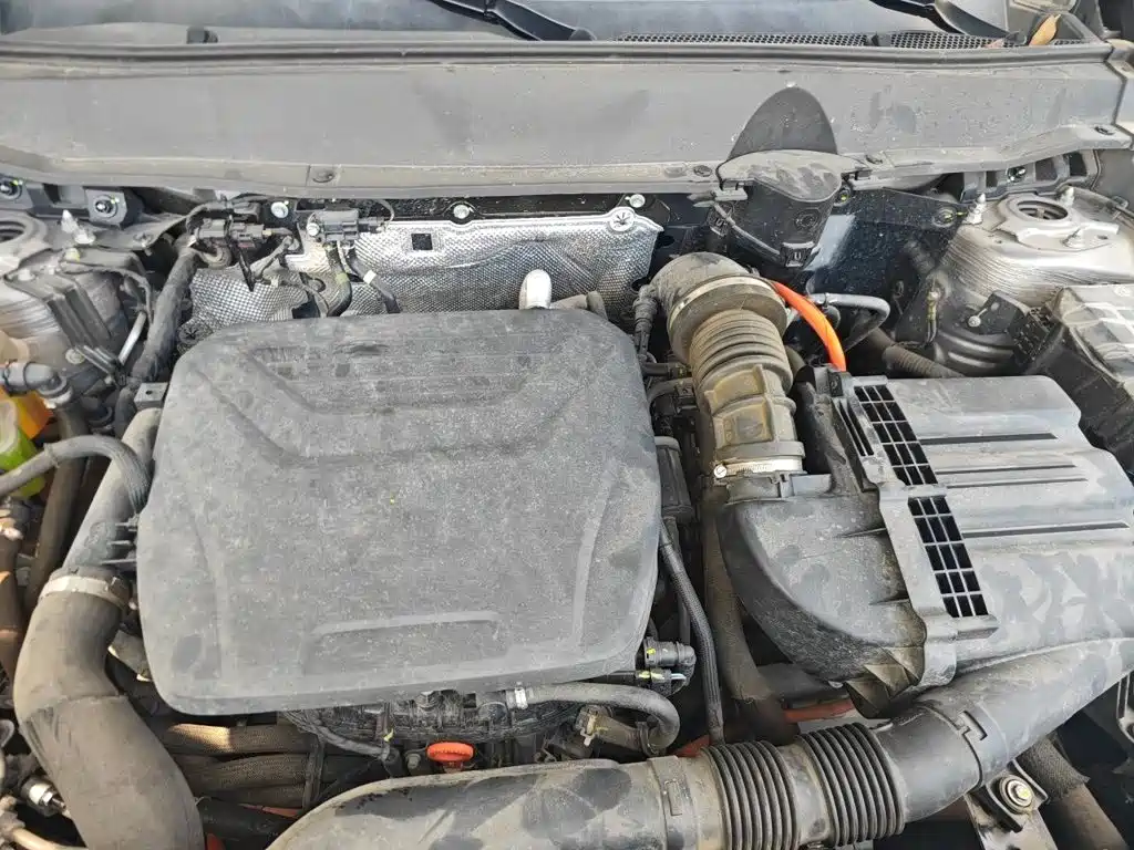 Haval Big Dog PLUS New Energy — миниатюра 16