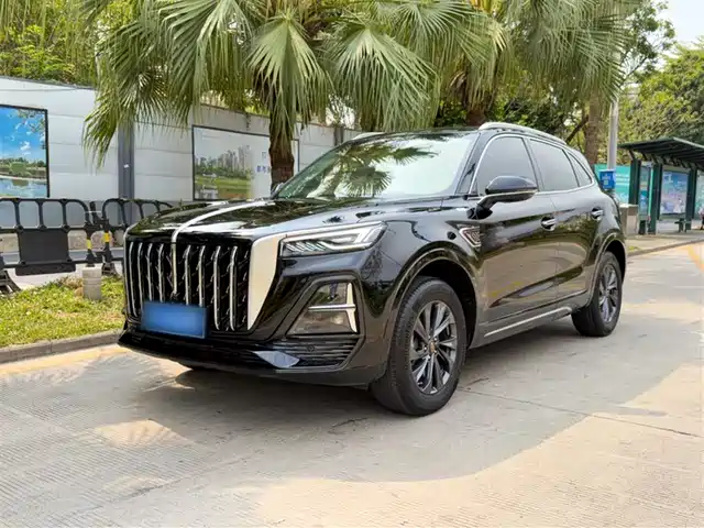 2024 Hongqi HS5