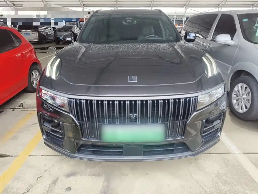 Lynk & Co 09 EM-P 2021 2.0T PHEV Halo мест